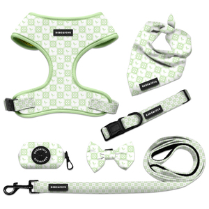 Nuevo diseño personalizado de correas de nailon de neopreno ajustable de lujo personalizado sin tirar gato mascota Correa <span class=keywords><strong>Collar</strong></span> perro arnés chaleco conjunto - Product Image 2