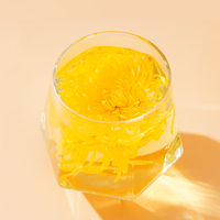 Thé de chrysanthème doré de qualité supérieure, frais et 100% naturel, taille de floraison de 8 à 10 cm, paquet de 10 fleurs