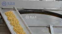 Solution clé en main pour la production de pâtes PARMAT, entièrement automatisée, contrôlée par PLC, haute capacité, en acier inoxydable, personnalisable, pour macaroni et pâtes courtes