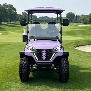 Carrito <span class=keywords><strong>de</strong></span> Golf <span class=keywords><strong>de</strong></span> Lujo para 2 Pasajeros <span class=keywords><strong>con</strong></span> Batería <span class=keywords><strong>de</strong></span> Litio, Homologado para Calle, <span class=keywords><strong>con</strong></span> Certificación CE DOT y Refrigerador para Golf y Recorridos Turísticos - Product Image 2
