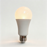 Ampoule LED à lumière bleue froide, ambiance chaleureuse, spectre complet, haute teneur en NIR, CRI ultra-élevé, sans scintillement, veilleuse pour usage intérieur