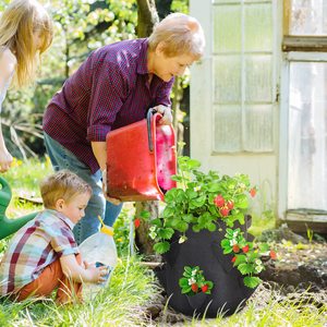 Sacs de culture champignons, 60/300gsm, 1/3/5/10/25/100 Gallons, en tissu feutré personnalisable, sacs de culture pour fraises, pour plantes - Product Image 6