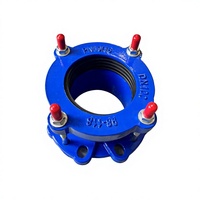 Raccord flexible à bride bleue, connecteur de tuyau à tige de liaison, longueur réglable, connexion femelle pour l'alimentation en eau