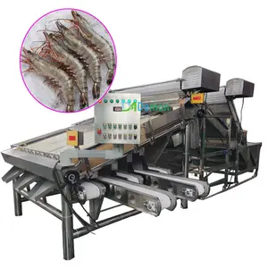 Seafood shrimp size classifier Prawn grader grading machine with washing Small sardine balan fish size sorter sorting machine