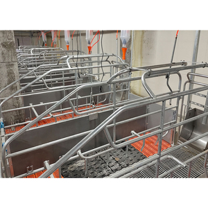 2025 phong cách mới lợn thiết bị nông nghiệp farrowing Crate cho lợn - Product Image 3