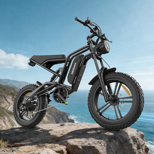 Vélo électrique Hidoes B6 Streetbikes 1200W avec pneus larges de 20 pouces, vitesse de 50 km/h, batterie au lithium 48V 15.6AH, certifié FCC/ROHS/CE/UKCA, prêt à l'emploi - Product Image 1