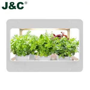 Minigarden-Lámpara LED para plantas, montaje fácil, jardín interior, tienda de cultivo interior, kits 2022, 14w