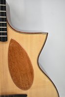 Geake JD-510C High Quality Top Solid Acoustic Guitar with Unique Design