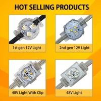 Twinklight - Vente en gros - Lumières LED RGBW permanentes pour l'extérieur - 30 mm - Lumières de Noël - Lumières de fête - 12 volts - Lumières LED RGB Pixel