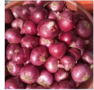 หัวหอมขาวปอกเปลือกแบบใหม่ขายส่ง <span class=keywords><strong>ผัก</strong></span>อบ<span class=keywords><strong>แห้ง</strong></span>สด วัตถุดิบสำหรับทำ<span class=keywords><strong>แกง</strong></span>อินเดีย หัวหอม<span class=keywords><strong>แห้ง</strong></span>แบบเม็ด - Product Image 3