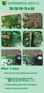 Atacado 100g/L <span class=keywords><strong>SiO2</strong></span> Fertilizante Foliar Orgânico Aplicável ao Arroz Viveiro Galpões - Product Image 5