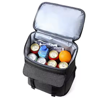 Sac à dos isotherme portable en aluminium avec bandoulière, capacité 24L, pour pique-nique, champagne, bière - Conception pliable et durable