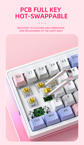 60% Anti-ghosting RGB Gaming Mechanical <b>Keyboard</b> 63 Hot Swappable 2.4G Wireless BT & Wired for Laptop Magic <b>Keyboard</b> for Compute - Product Image 2