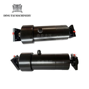 Cylindre hydraulique de bras de levage pour <span class=keywords><strong>camion</strong></span> à <span class=keywords><strong>benne</strong></span> basculante, machinerie agricole, véhicule - Product Image 5