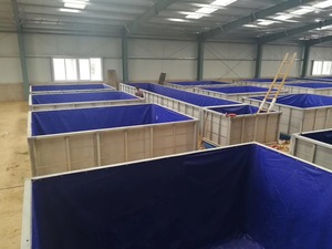 Lớn 9500 lít Bio Flock Poly Tank cho trong nhà Tôm & tôm hùm nuôi trồng thủy sản bể nước thiết bị sản xuất - Product Image 3