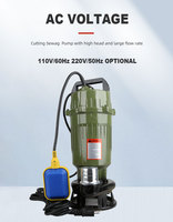 Pompe submersible à boîtier en aluminium 220V/110V 50Hz/60Hz, haute pression, grand débit, tuyau de refoulement de 2 pouces, 15 GPM pour l'agriculture