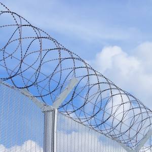बीटीओ-22 रेजर वायर बाड़/रेजर कांटेदार तार/गैल्वनाइज्ड कॉन्सर्टिना रेजर वायर - Product Image 2