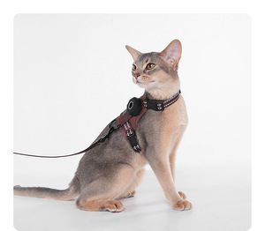 Ensemble laisse et harnais pour chat d'extérieur tout-en-un, réfléchissant, anti-perte, anti-évasion - Product Image 2