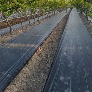 Copertura del terreno della stuoia della barriera di controllo dell'erbaccia dei pp del tessuto del paesaggio di alta qualità 100gsm