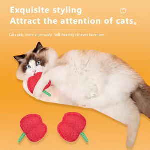 Juguete para Gatos con Forma de Melón Dulce y Manzana, para Masticar, Limpiar los Dientes y Diversión Individual, Palo Divertido para Gatos, Juguete para Mascotas - Product Image 3