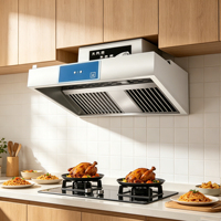 Hotte d'extraction murale ventilée en acier inoxydable pour cuisine de restaurant, faible bruit, haute efficacité, extraction d'huile