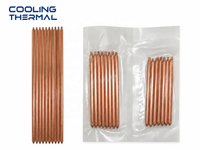 Pipa Panas Tembaga Sintered 10x250mm Efisiensi Tinggi untuk Sistem Pendingin CPU GPU dan Manajemen Termal Industri