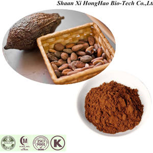 中国工場カカオエキステオブロミンカカオエキス - Product Image 3