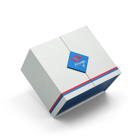 Boîte cadeau rigide en papier avec fermeture magnétique à double porte de qualité supérieure avec sac d'emballage
