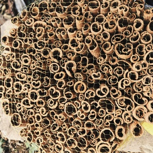 Bastoncini di cannella grezza essiccata di alta qualità, naturali, singoli, di Guangxi, 8-10 cm - Product Image 6