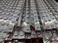 Lampes LED RVB adressables étanches IP65 de 45 mm 24 V, préprogrammées 1-16 E14 pour parcs à thème (PVC)