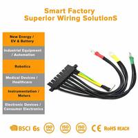 Harness Kabel Baterai Ebike Berinsulasi Silikon dengan Steker PVC untuk Solusi Daya dan Koneksi Perangkat Tambahan