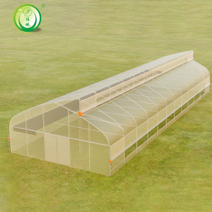 Invernadero Túnel Pequeño y Económico JP para Fresas, Invernadero Agrícola <span class=keywords><strong>de</strong></span> un Solo Tramo con Película <span class=keywords><strong>de</strong></span> PE - Product Image 4