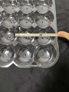 Bandeja de Plástico Transparente de PVC con 24 Compartimentos para Frutas, 24 Unidades por Paquete, Bandeja Transparente para Empacar Manzanas, Bandeja Transparente para Manzanas - Product Image 6