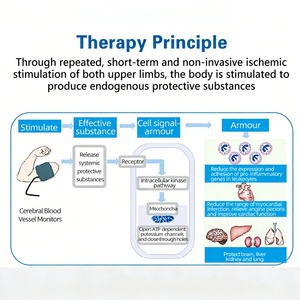 Máquina de Terapia de Presión Arterial para Rehabilitación de Accidentes Cerebrovasculares con Entrenamiento de Pre-adaptación para el Flujo Cerebral y Monitor de Presión Arterial - Product Image 4