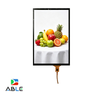 10,1 Zoll FHD TFT-Display Kapazitiver Touchscreen IPS MIPI Hohe Helligkeit 1920*1200 Multi-Touch-Funktion LCD-Modul