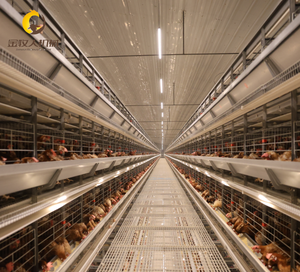 Jinmuren Nouvelle Cage Automatique pour Animaux, <span class=keywords><strong>Poulailler</strong></span> pour Usage Agricole, Construction en Acier Galvanisé de Haute Qualité, Facile à Nettoyer - Product Image 5