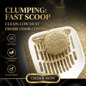 Échantillon Gratuit OEM Litière pour Chat à Fort Pouvoir Agglomérant à Base de Bentonite, Contrôle Supérieur des Odeurs, Faible Émission de Poussière Naturelle, Idéale pour les Foyers Multi-Chats en Intérieur - Product Image 1