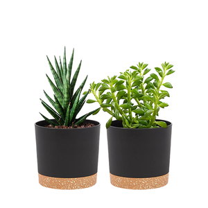 <span class=keywords><strong>Naturix</strong></span>, gran oferta, diseño moderno, macetas de poliresina de 5 6,5 8 10 12 pulgadas para plantas de interior y exterior con platillo - Product Image 1