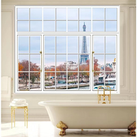 Ventana Francesa de Aluminio con Marco Estrecho, Insonorizada, con Rejillas Decorativas de Acero Inoxidable, Certificada ISO9001, para Sala de Estar de Villa