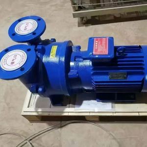 SHUANGSHENG 2BV Series High <b>Vacuum</b> Industrial Liquid Ring <b>Pump</b> Model 2BV-2061 Water Circulation Compressor High Pressure 1.45KW - Product Image 4