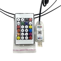 Venta caliente nuevo diseño coche acrílico LED Luz de circulación diurna 12V AUTO IDEAL Dream Color persiguiendo 1,1 m Led luz Interior