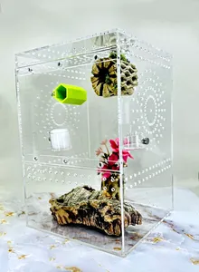 Akrilik böcek Cage kafesi-böcek ve yaratıcılar için mükemmel ev - Product Image 4