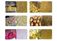Passie Fruit Verwerking Machine Compleet Fruit & Vegetable Verwerking Lijn