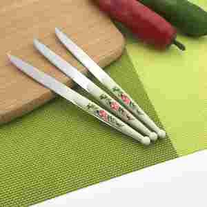 Couteau à fruits en acier inoxydable durable de haute qualité, contemporain, 12 pièces, boîte cadeau pour fête, mariage - Product Image 2
