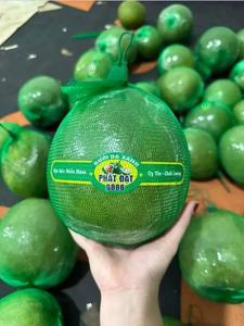 Màu xanh lá cây PP nhỏ Nhựa Lưới Trái Cây <span class=keywords><strong>Net</strong></span> Bag đối với bưởi - Product Image 3
