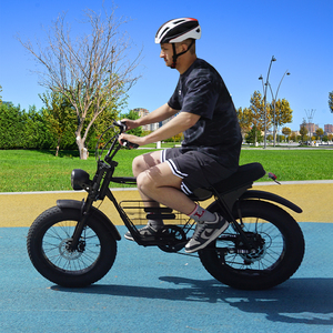 <span class=keywords><strong>Bicicleta</strong></span> Eléctrica de Montaña 48V 15Ah con Motor de 250W/1000W, Precio de Fábrica para el Mercado Australiano, <span class=keywords><strong>Bicicleta</strong></span> Eléctrica <span class=keywords><strong>Híbrida</strong></span> con Llantas Anchas - Product Image 2