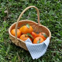 Multifunctionele grote ecovriendelijke waterdichte handgeweven vierkante fruitmand met PP rotan handvatten voor picknickgebruik