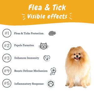 Multivitaminas y Suplementos de Glucosamina Premium para Perros con Absorción Rápida, 2 Años de Duración, para Perros y Gatos - Product Image 4