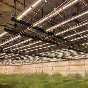 SINOWELL 720W SE spectre complet Led élèvent la lumière <span class=keywords><strong>Quantum</strong></span> 1000w pour Veg et élèvent la tente - Product Image 6