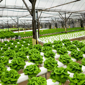 Hyroponisches Anbaus ystem des Gewächshaus turms Aquapo nische Hydro ponik systeme für den Innen-und Außenbereich - Product Image 2